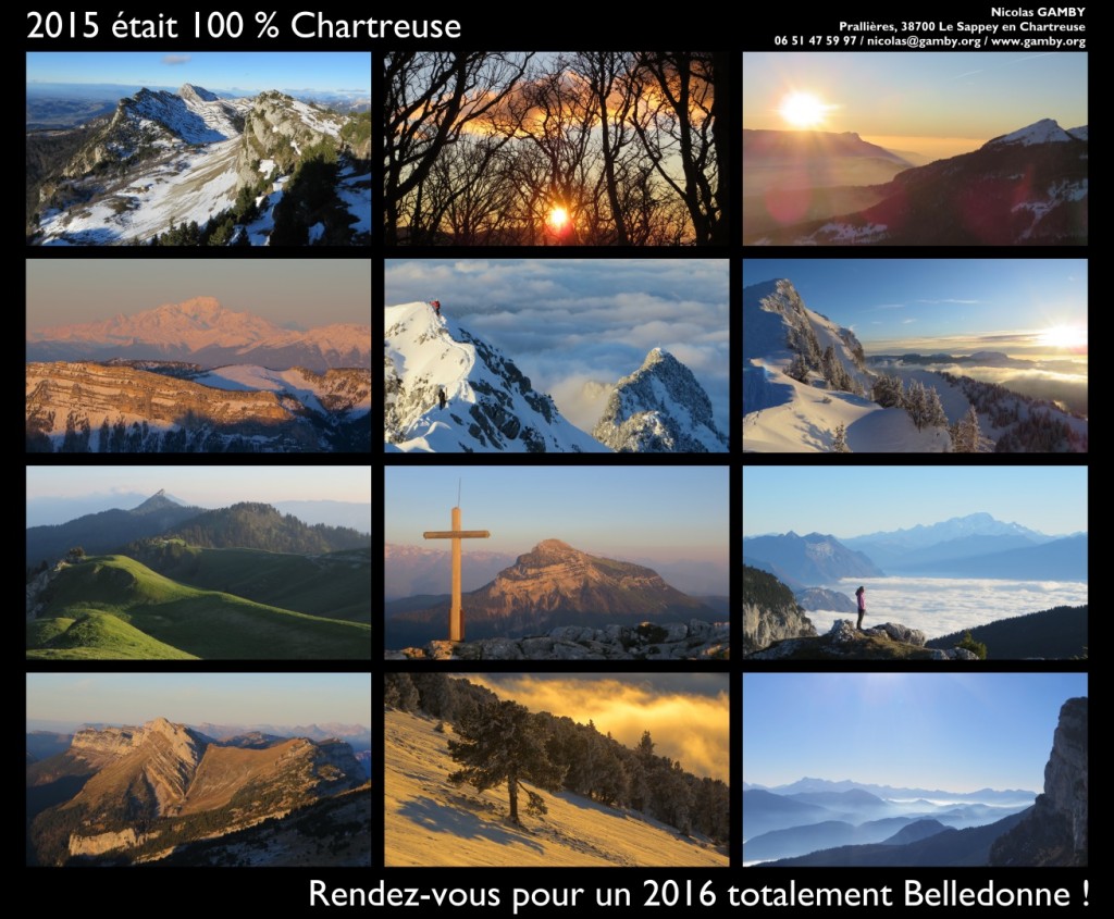 Bonne AnnÃ©e 2016